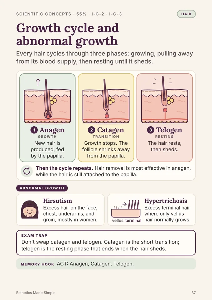 Book 1, page 37: Hair growth cycle (anagen, catagen, telogen) and abnormal hair growth